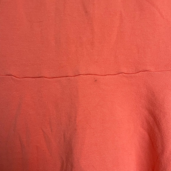 Express Dress - Picture 3 of 3